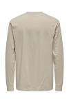 ONLY & SONS Fred Oversize LS Tee Silver Lining